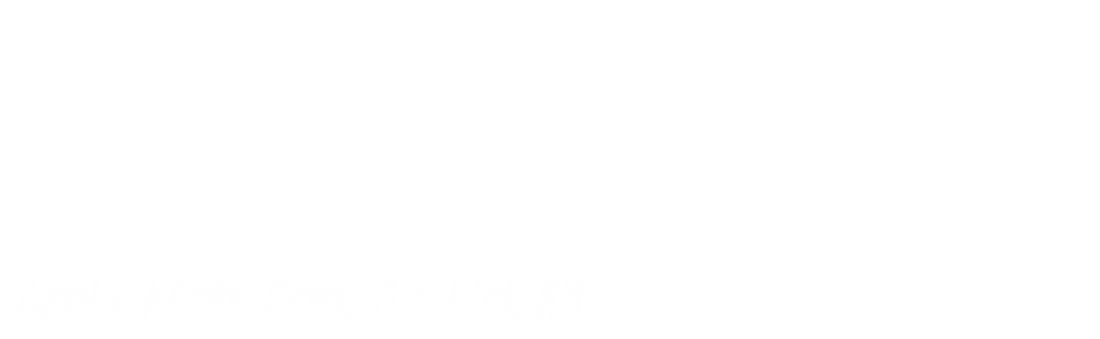 IM Industry & Trade Co. Ltd. — Ethex, Joypack