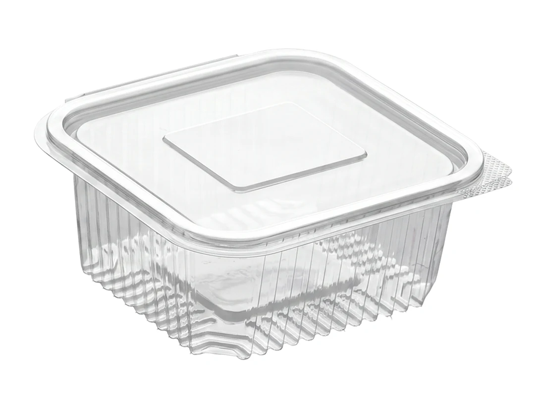 Plastic Container, Flat Lid, PET – 500 cc