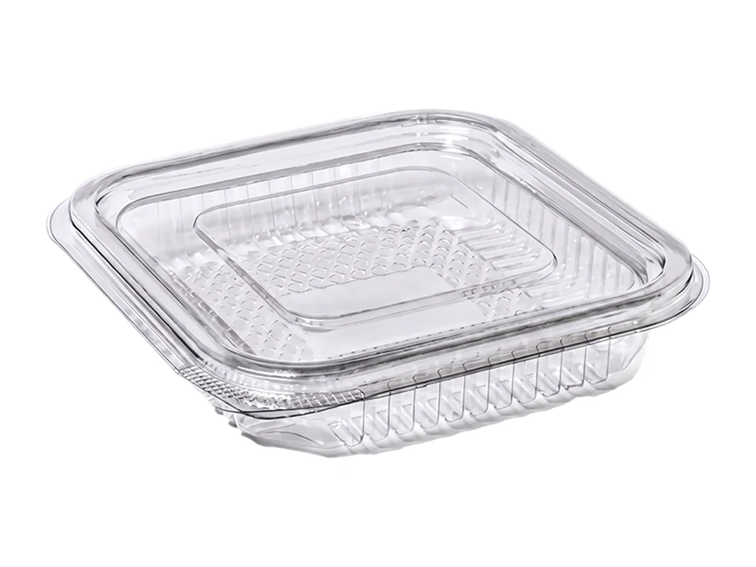 Plastic Container, Flat Lid, PET – 100 cc
