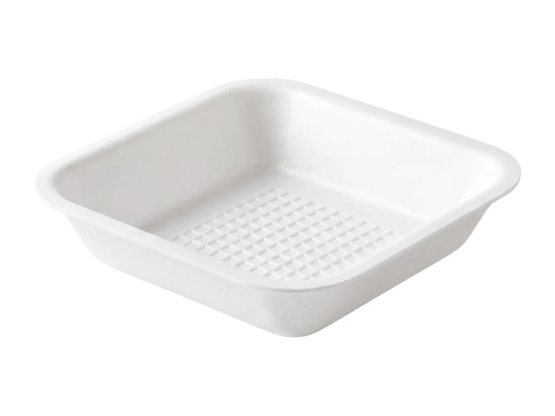 C2 Foam Plate